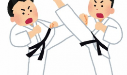 柔道漫画,力与心的较量